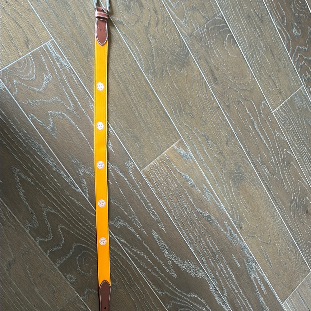 Orange Roostas Tennessee Belt
